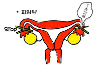 먹는 피임약