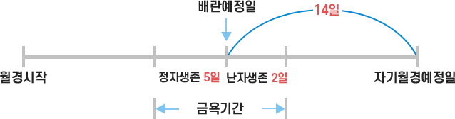 월경주기법